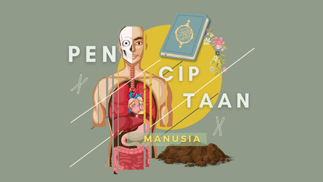 Proses penciptaan manusia dalam Al-Qur'an. Foto: Penulis