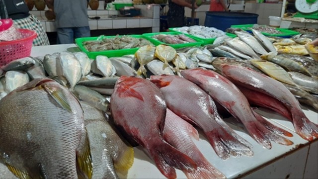 Ilustrasi pasar ikan. Foto: Wendiyanto/ kumparan
