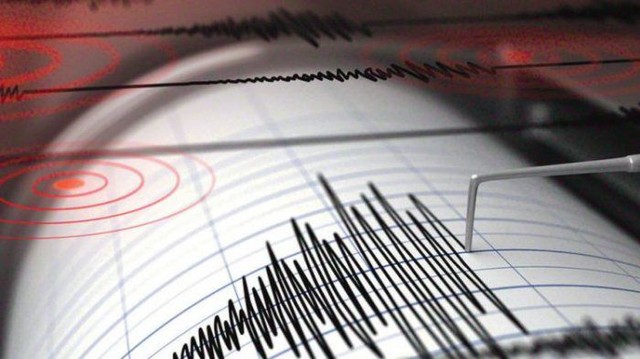 Ilustrasi gempa bumi | Foto: Istimewa