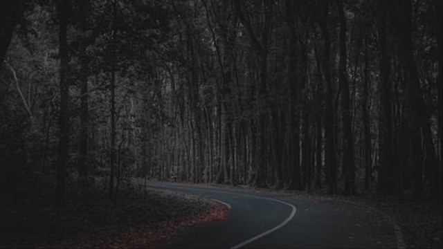 Daya tarik taman nasional Alas Purwo, Foto: Unsplash.