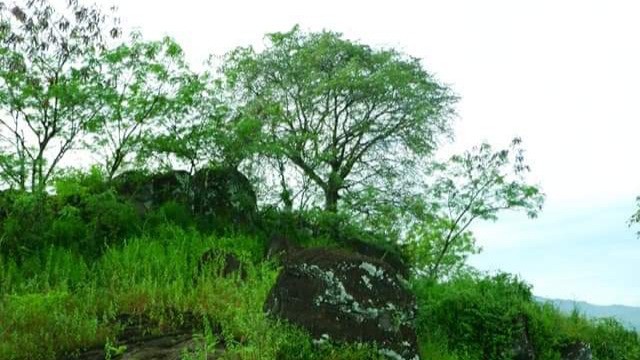 Suasana Gunung Suru, bukit di Sleman yang disebut jadi kerajaan tuyul. Foto: facebook/PPhe Whe Antho