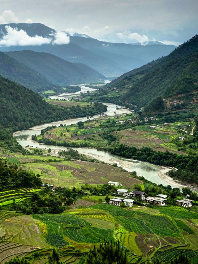 Ilustrasi Bhutan. Foto: Mathias Berlin/Shutterstock