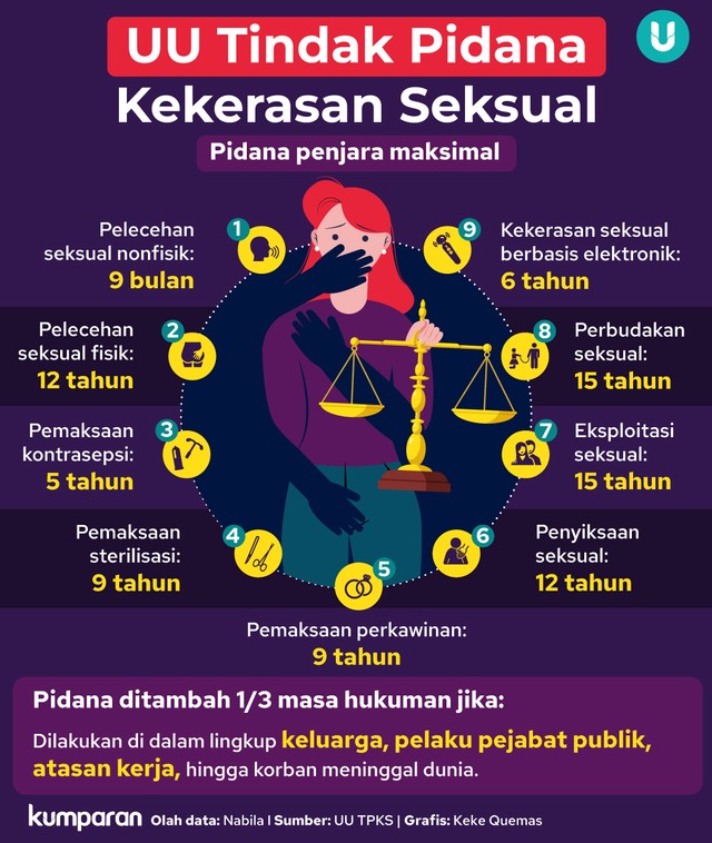 Infografik 9 Jenis Kekerasan Seksual Yang Diatur Uu Tpks 