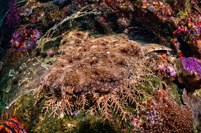 Ilustrasi ekosistem dikatakan seimbang, sumber foto oleh Tom Fisk dari Pexels