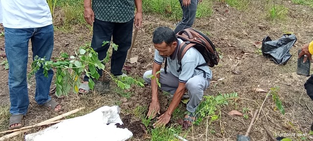 Perwakilan dari setiap LPHD berkesempan untuk menanam pohon. (Foto : Robi Kasianus/YP).