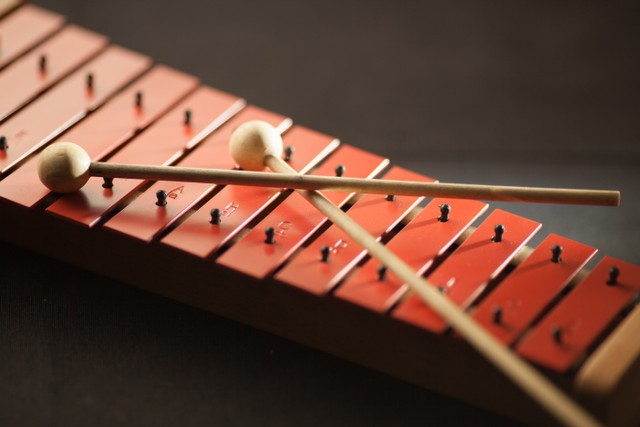 Ilustrasi contoh alat musik tradisional Lampung, sumber foto oleh Méline Waxx dari Pexels