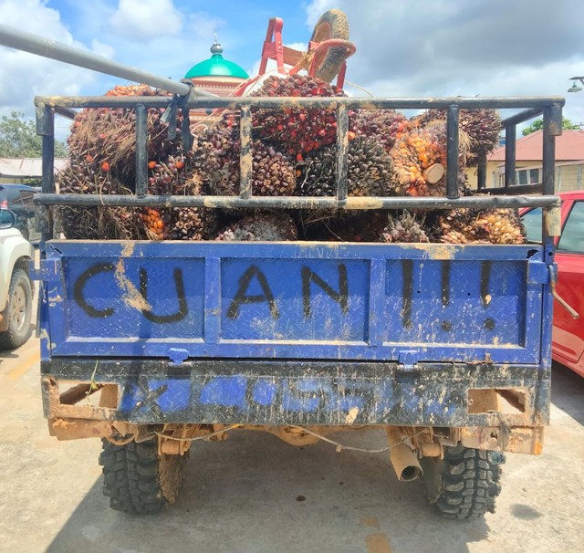 Barang bukti buah sawit hasil curian dan mobil yang digunakan tersangka untuk mengangkutnya. Kedua tersangka kepergok mencuri di kebun PT SDK II.(Foto: Dokumen Polres Sintang)