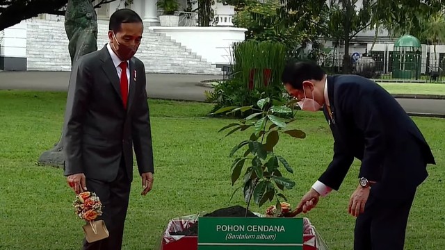 Jokowi dan Perdana Menteri Jepang menanam pohon bersama. Foto: You Tube Sekretariat Presiden