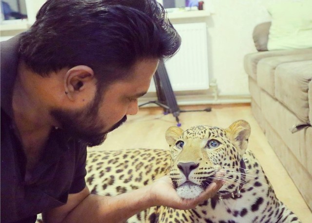 Perang Ukraina: Dokter India Bertahan Hidup di Bungker dengan Macan dan Jaguar (84153)