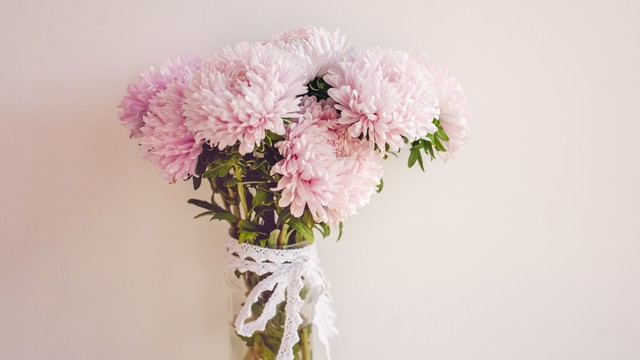 Ilustrasi bunga Valentine. Foto: Lena Dyomina/Shutterstock