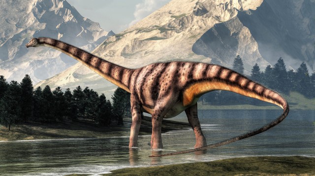 Dinosaurus Diplodocus Diplodocinae. Foto: Daniel Eskridge/Shutterstock