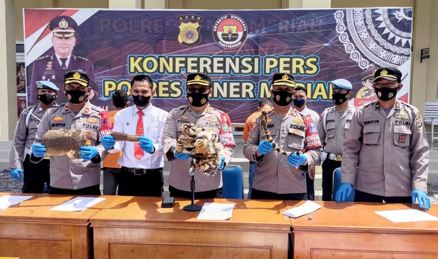 Harimau Hingga Beruang Madu Awetan Di Aceh Gagal Dijual Polisi Bekuk Pemiliknya Kumparan Com