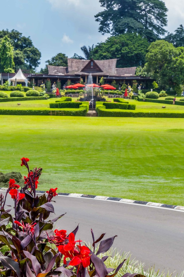 Kebun Raya Bogor. Foto: INTREEGUE Photography/Shutterstock