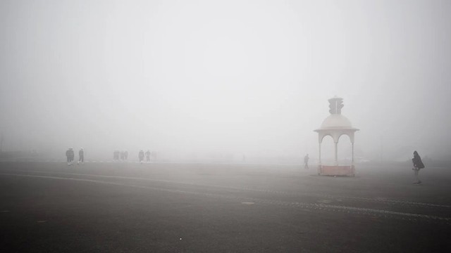 Begini Cara Kerja Pertanian yang Jadi Solusi Kurangi Polusi Udara di Delhi India