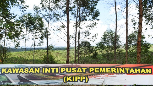 Suasana lahan hutan tanaman industri yang akan menjadi Kawasan Inti Pusat Pemerintahan Ibu Kota Negara (IKN) Nusantara di Kecamatan Sepaku, Penajam Paser Utara, Kalimantan Timur, Selasa (15/3/2022). Foto: Hafidz Mubarak A/ANTARA FOTO