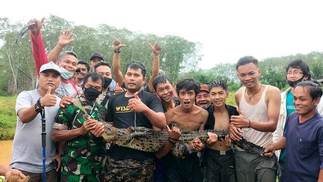 BKSDA Sumsel bersama petugas PD Budiman dan komunitas reptil saat menangkap buaya yang lepas dari penangkaran. (ist)