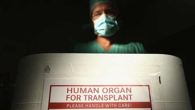 Arnold Putra: Desainer Kontroversial yang Diduga Pesan Organ Manusia dari Brasil
