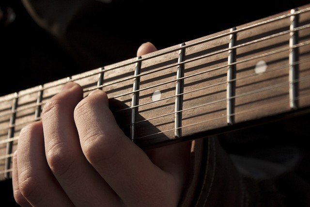 https://pixabay.com/users/ignatsevichserg-2009277/ - cara cepat bisa main gitar