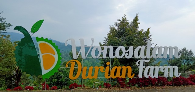 Wonosalam Durian Farm - Dokumentasi Pribadi