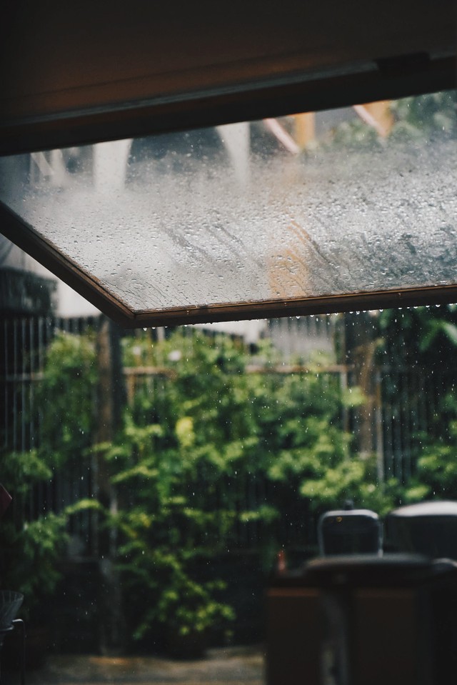 Kata mutiara hujan di pagi hari Sumber Foto: Unsplash/Suhyeon Choi