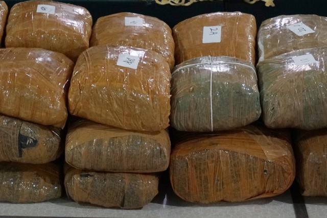 Anggota polisi menata barang ganja saat konferensi pers pengungkapan kasus ganja seberat 471,6 kilogram di Diresnarkoba Polda Metro Jaya, Jakarta, Jumat (22/4/2022).
Foto: Jamal Ramadhan/kumparan