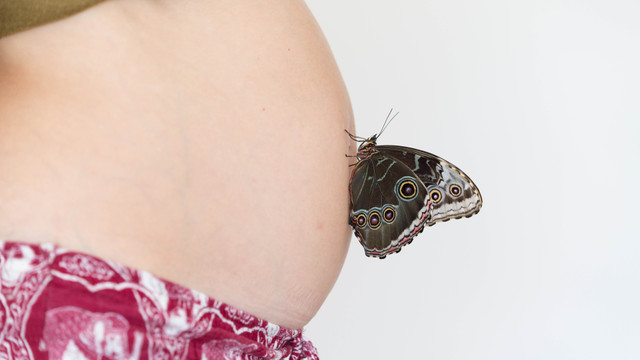 Ilustrasi hynobirthing. Foto: Margus Vilbas Photography/Shutterstock