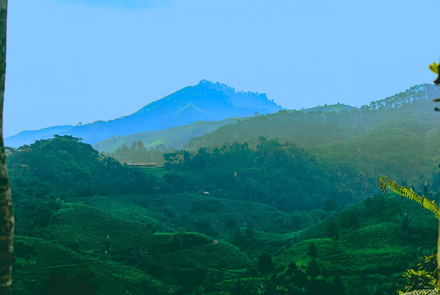 Ilustrasi keindahan wisata Gunung Dago yang Instagramable. Foto: unsplash.com/firmanfatthul