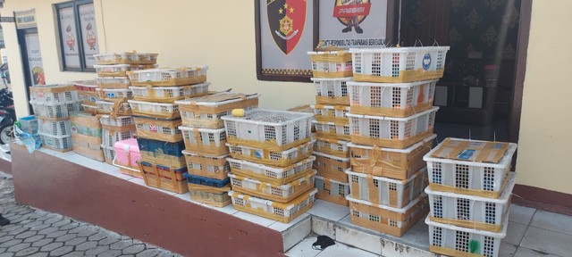 2 Warga Medan Diamankan di Bakauheni, Gegara Bawa Puluhan Jenis Satwa Dilindungi (1)