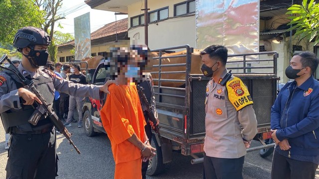 Pelaku pencurian sapi saat berada di Mapolsek Jembrana, Bali - IST