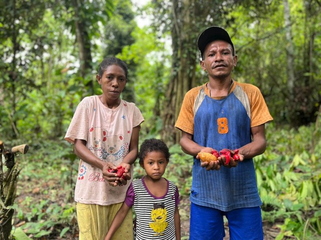 Esron dan keluarga, warga Arguni Bawah yang menanam Pala di perkebunan, Kab Kaiman, Papua Barat. Foto:  Retyan Sekar Nurani/kumparan
