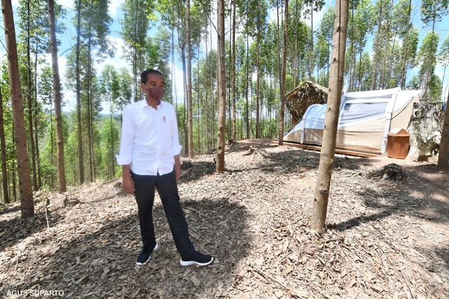 Jokowi di lokasi kemah di IKN. Foto: Agus Suparto/Presidential Palace