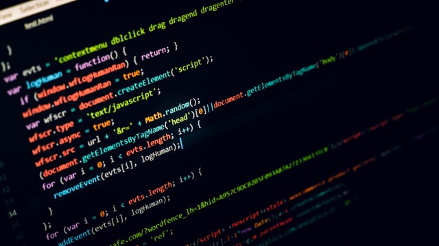 Ilustrasi Python. Foto: Ronz NL via Unsplash