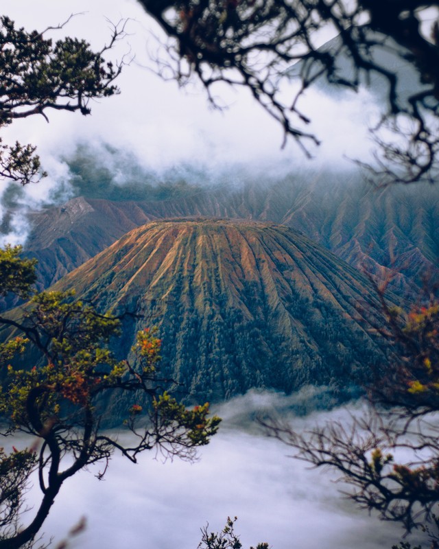 Indahnya Wisata Gunung Bromo, Primadona Jatim yang Wajib Dikunjungi!, Foto: Unsplash/Ahmad Syarifudin