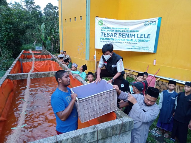 Tebar Benih Budidaya Lele Pesantren dari YBM PLN dan IZI Jateng