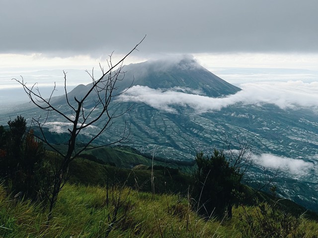 Gunung dan Masa Depan Bumi: Berinvestasi pada Masa Krisis Iklim (50409)
