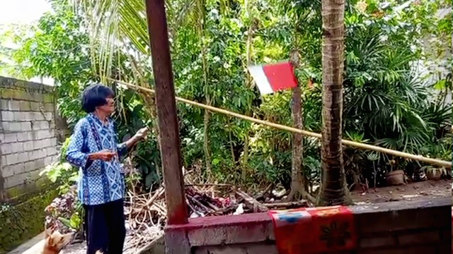 Seorang nenek berusia 80 tahun di Manado terlihat sedang berusaha menerbangkan layang-layang yang dibuat oleh cucunya.
