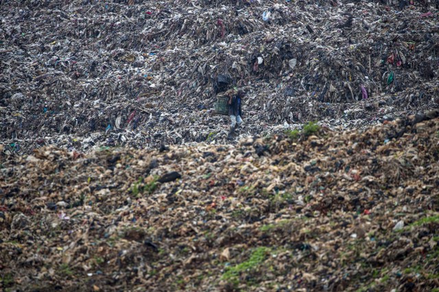 Seorang pemulung mencari sampah plastik di Tempat Pengelolaan Sampah Terpadu (TPST) Bantar Gebang, Bekasi, Jawa Barat, Senin (21/2/2022). Foto: Aditia Noviansyah/kumparan