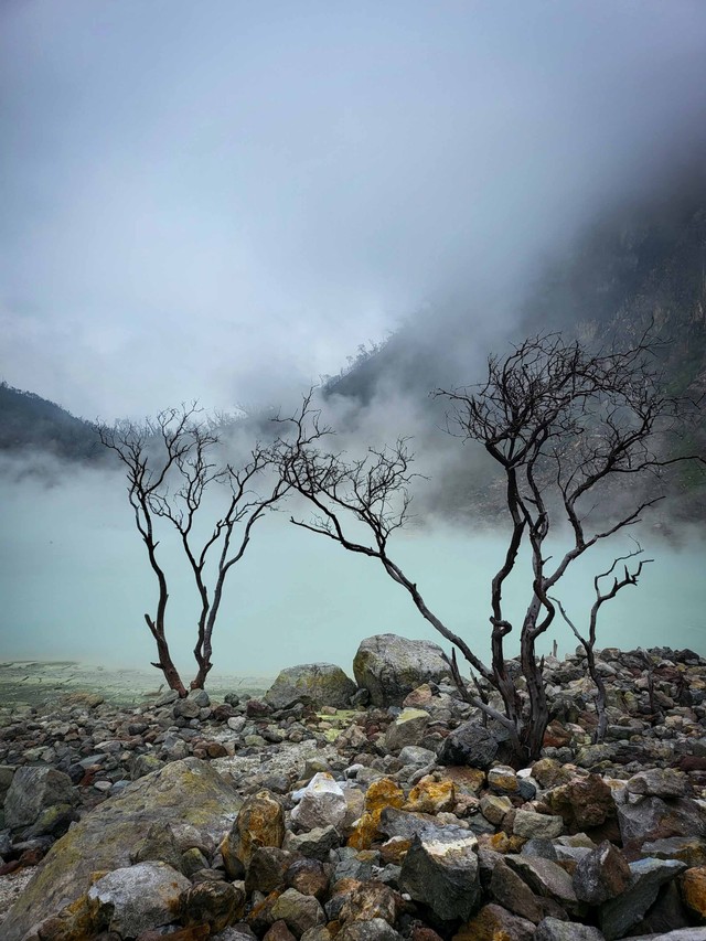 Keindahan Kawah Putih. Foto: Marla_Sela/Shutterstock.