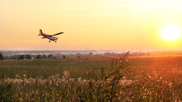  Ilustrasi pesawat kecil yang tengah mengudara. Foto: Shutterstock