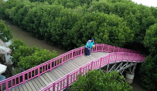 Wisata Hutan Mangrove, Pandansari, Brebes (Foto: Irsyam Faiz)