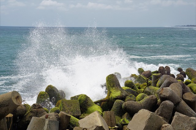 Ilustrasi Pantai Glagah. Foto: haryanta.p/Shutterstock