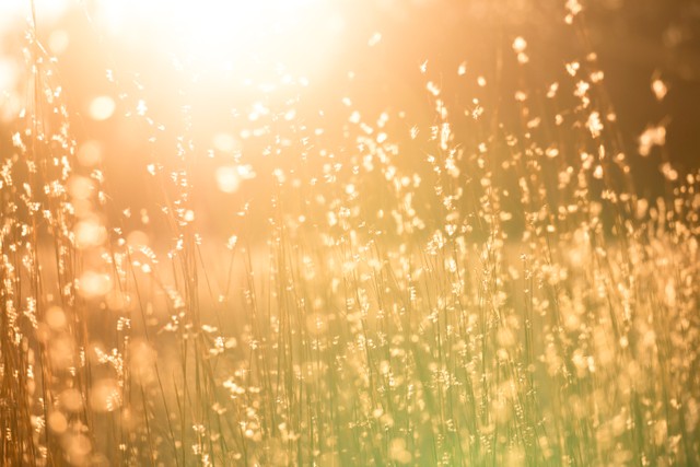 rekomendasi sunscreen untuk kulit kering. Unsplash/Kent Pilcher