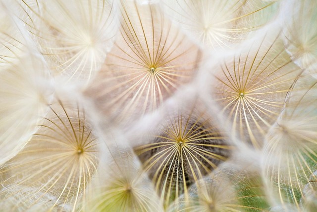7 Kata-kata Mutiara Sabar Dihina Orang yang Bisa Jadi Pelipur Lara, Foto: Unsplash/PaulTalbot