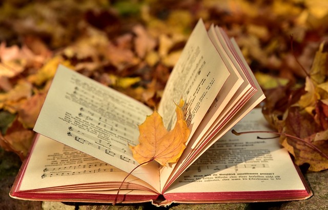 https://pixabay.com/users/ulleo-1834854/ - perbedaan hikayat dan cerpen
