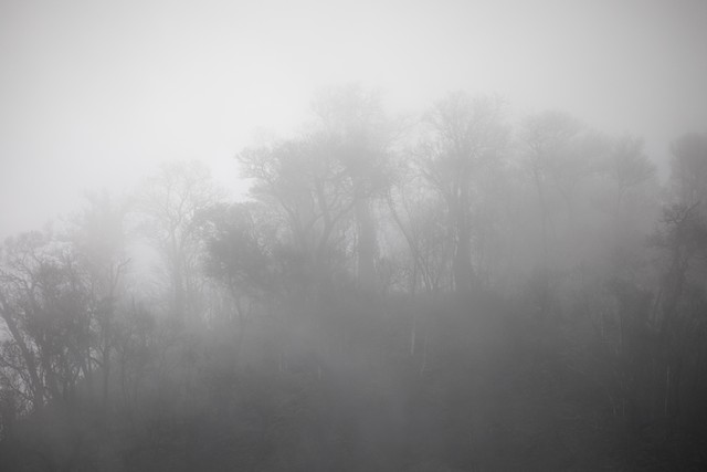 Ilustrasi kabut. Foto: Aditia Noviansyah/kumparan 