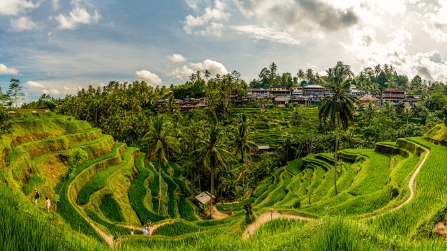 Ubud, Bali. Foto: Mr.Piya Meena/Shutterstock