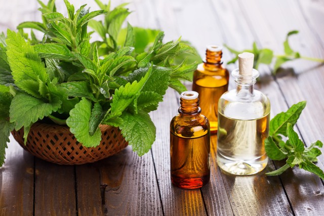 Ilustrasi essential oil aromaterapi peppermint. Foto: Antonova Ganna/Shutterstock