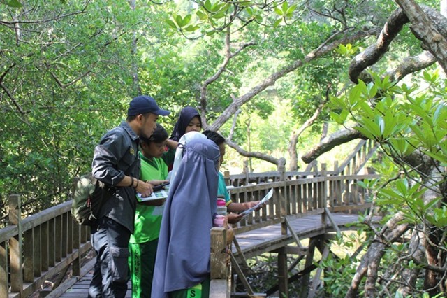 Fieldtrip SDN 15 Mentubang di Hutan Mangrove Sukadana, KKU. (Foto: Simon/ Yayasan Palung).