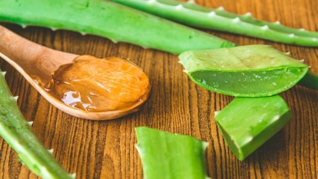 Rekomendasi masker alami. Foto: Shutterstock