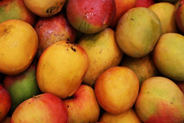 Ilustrasi Mangga. Foto: pixabay.com
